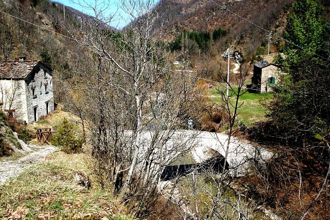LA MIA VALLOMBROSA